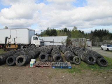 Yard Photo
