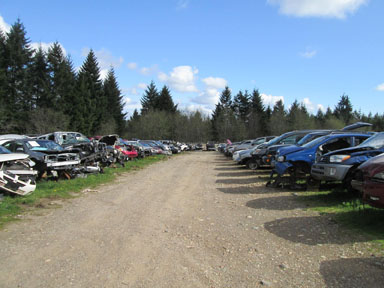Yard Photo